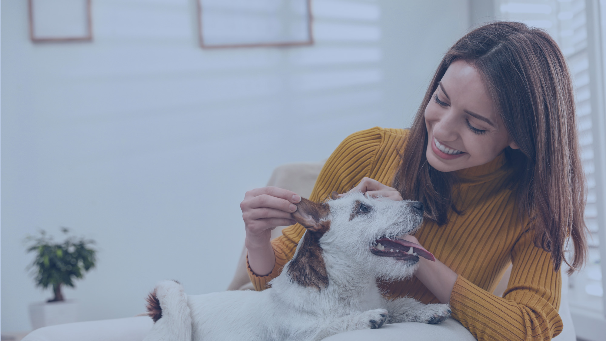 The Future of Customer Loyalty: Innovative Personalization Technologies in Focus